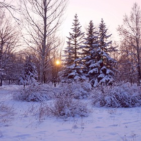 Всюду снег, кругом всё тихо, зимним сном природа спит...